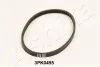 PASEK WIELOROWKOWY 1123PK495