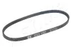 PASEK KLINOWY WIELOROWKOWY 1124PK670