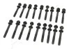 К-кт болтов ГБЦ Renault Master 3.0 DCI 99-/Nissan Interstar 03- 115-01-100