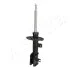 Shock Absorber ASHIKA MA00191 (фото 1)