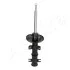 Shock Absorber ASHIKA MA00191 (фото 2)