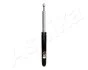AMORT./ASHIKA/ MA00466