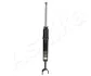 Shock Absorber ASHIKA MA00501 (фото 1)