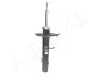 Shock Absorber ASHIKA MA00598 (фото 1)