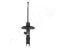 Shock Absorber ASHIKA MA00601 (фото 1)