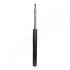 Shock Absorber ASHIKA MA20060 (фото 3)