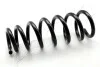 Пружина (передня) BMW X5 (E70) 3.0d/3.0si/xDrive 30d/30i/35d/40d 06-13 (всюдихід)(без спорт.ход.ч.) ZCA3898A