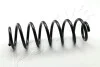 Пружина (задняя) VW Golf IV 1.4-2.3 97-05 (накл.зад.часть/фургон) ZCA5535H