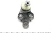 Опора шаровая Toyota Camry 01-11/Lexus RX 03-08. ASMETAL 10TY1011 (фото 2)