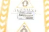Подушка двигуна Logan/Megane 1.5 dCi 03- Пр. ASMETAL 45DC4500 (фото 6)