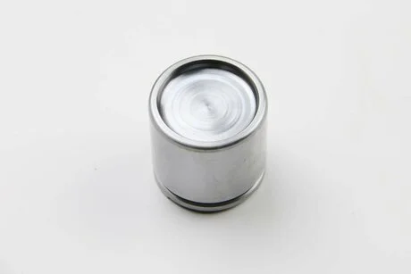 Поршенек суппорта перед VECTRA/OMEGA (54х53,1мм) 87-03 SEINSA AUTOFREN D025315