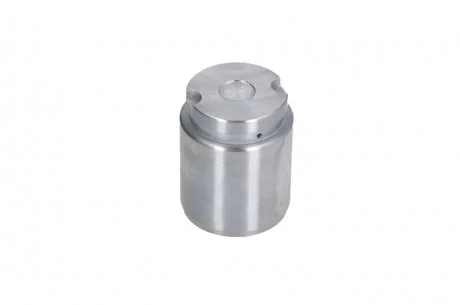 Поршенек суппорта KIA Picanto 04- 33,9mm SEINSA AUTOFREN D025545