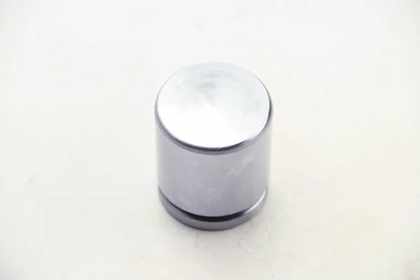 Поршеня супорта перед Smart Fortwo 07- 42x SEINSA AUTOFREN D025580