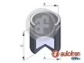 Поршень суппорта, CITROEN Jumper/PEUGEOT Boxer/FIAT Ducato 06- (50x60mm) D025730