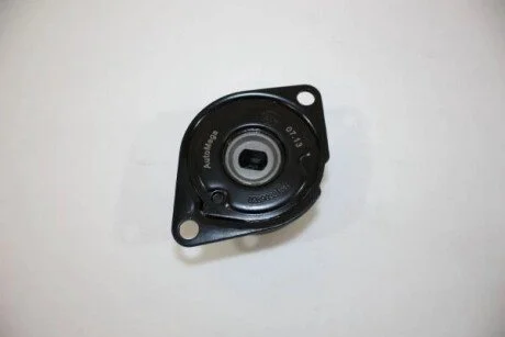 Натяжитель ремня AUTOMEGA 130010710