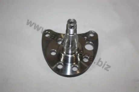 Ступиця колеса AUTOMEGA 305010118333 (фото 1)