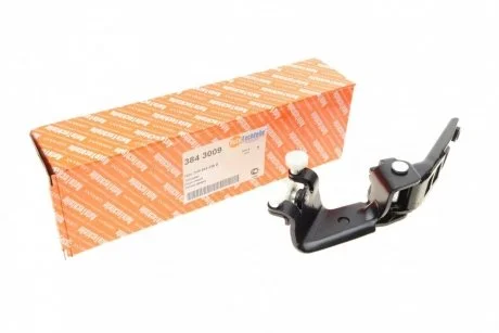 Ролик дверей (боковий/середній) VW T5 (з кронштейном) AUTOTECHTEILE 3843009