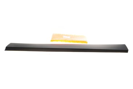 Молдинг дверей AUTOTECHTEILE 505 0270