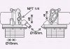Радиатор масляный в сборе FORD TRANSIT 260 (2006) 2.2 TDCI (пр-во AVA) FD3625H