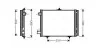 Радіатор кодиціонера E163362 PEUGEOT / CITROEN AVA COOLING PEA5295D (фото 1)