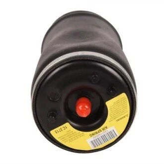 Пружина заднього амортизатора 37121095579 BMW Bapmic BACB12575001