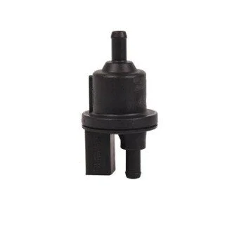 Клапан зворотнiй Bapmic BF0424310050
