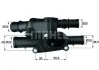 Термостат BEHR TM2105 (фото 1)