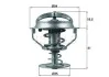 Термостат BEHR TX16482D (фото 1)