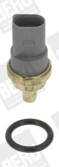 Датчик температури BERU ST114