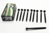 Болти головки блоку Berlingo/Partner 1.6 D/HDI 01- (10 шт.) BGA BK3339