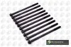 Болты головки блока AVEO/LACETTI/SENS/LANOS  1.4/1.6i 95- (к-кт) BGA BK4359