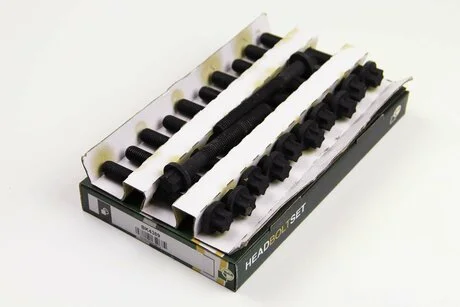 Комплект болтів двигуна з фігурною головкою BGA BK4389