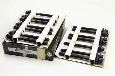 Болти головки блоку BMW 3-7 (E34/E39/E46E60/E61) X3/X5/Omega B 2.5TDI 99-) BGA BK5316