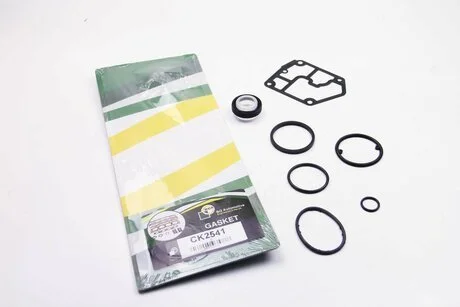 Комплект прокладок двигуна PKW VW BGA CK2541