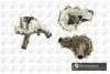 Водяний насос Transit 2.2TDCi 06- (з корпусом) BGA CP3806 (фото 1)