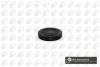 Заглушка блока цилиндров Trafic/Vivaro 2.0i 01-/Kangoo 1.6i 16V 01- 57mm PL4601