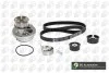 Роликовый модуль натяжителя ремня (ролик, ремень, насос) BGA TB9506CPK-1 (фото 1)