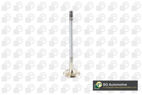 ENGINE VALVE BGA V090101