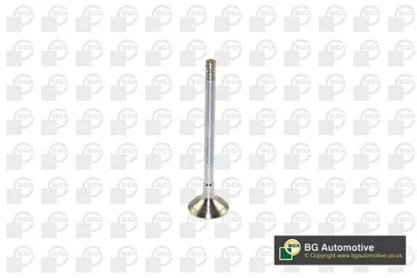Клапан двигуна BGA V122042
