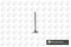 ENGINE VALVE V141081