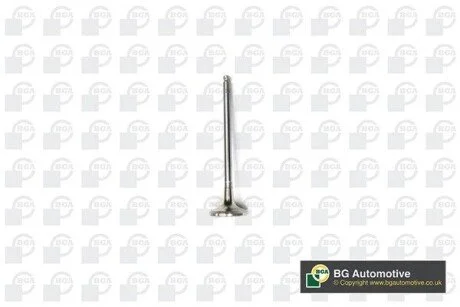ENGINE VALVE BGA V141081
