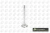 Клапан IN (31,7x7x110,5) HYUNDAI H-1, H-1 / STAREX, H-1 CARGO, H-1 TRAVEL, H350, PORTER KIA K2500, SORENTO I 2.5D 06.97- V164660