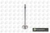 Клапан (выпуск) VW Crafter/T6 2.0 TDI 15- V200611