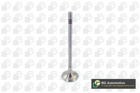 Клапан (выпуск) VW Crafter/T6 2.0 TDI 15- BGA V200611