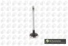 ENGINE VALVE V424831