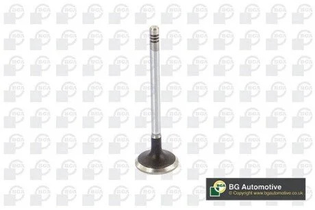 ENGINE VALVE BGA V424831