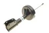 Амортизатор підвіски Renault Clio 2;V;B4 BILSTEIN 22-127426 (фото 7)