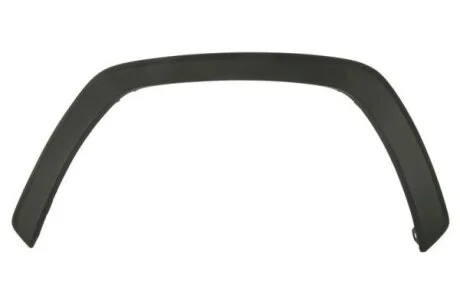 Накладка/молдинг на крилі TOYOTA RAV4 V 10.18- BLIC 5703048186595P