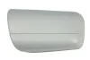 Корпус наружного зеркала 6103-01-1315539P