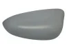 Корпус зеркала заднего вида 6103-01-1321552P